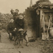 Выставка «Война и мир. На заре фотожурналистики. 1910-е годы» фотографии