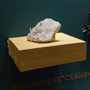 Фото: mgomz.ru