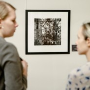Выставка «Высокий полет Мелвина Соколски» фотографии