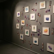 Выставка «Коллекция Fondation Louis Vuitton. Избранное» фотографии