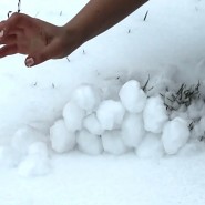 Выставка «Трогательная тщетность» фотографии