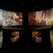 Выставка «Лица, Лики, Морды» фотографии