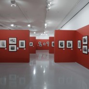 Выставка «Эммануил Евзерихин. Ретроспектива» фотографии