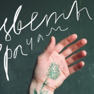Выставка «Цветы врачам» фотографии