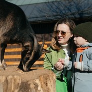 Фото: vdnh.ru