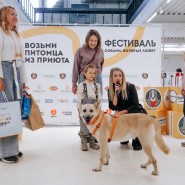 Фестиваль «Собаки, которые любят» 2023 фотографии