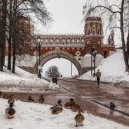 Парки для зимней фотосессии 2022-2023 фотографии