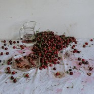 Выставка «Прорастания» фотографии