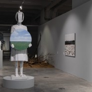 Выставка «Мыслящий ландшафт» фотографии
