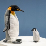 Фото: darwinmuseum.ru
