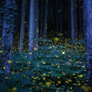 Выставка «Невероятные путешествия без компаса и карт» фотографии