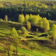 Фото: nagornaya.vzmoscow.ru
