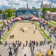 Дни орловского рысака на ВДНХ 2022 фотографии