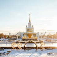 Спортивные развлечения от «Городской фермы» на катке ВДНХ 2022 фотографии