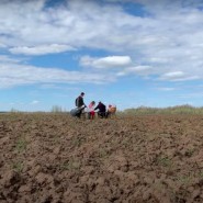 Выставка «Романово. Обитаемый остров (Музей)» фотографии