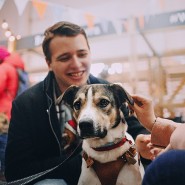 Благотворительный фестиваль «WOOF» 2023 фотографии