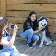 Экскурсии в питомник хаски «Северный» и прокат квадроциклов» фотографии