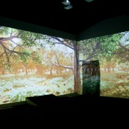 Интерактивное мультимедийное пространство «Лес» фотографии