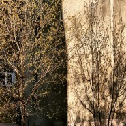 Онлайн-выставка «Призраки» фотографии