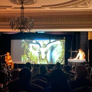 Фестиваль ирландской культуры IRISH WEEK 2021 фотографии