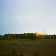 Выставка «Pushing up the wild daisies» фотографии