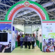 Выставка-ярмарка «ЛАДЬЯ. Зимняя сказка — 2021» фотографии