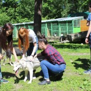 Экскурсии в питомник хаски «Северный» и прокат квадроциклов» фотографии