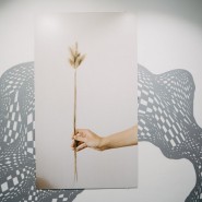 Выставка «Системы-Сверхсистемы» фотографии