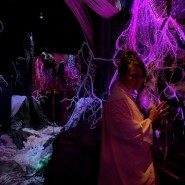 Иммерсивная мультимедиа выставка «СЕНС. Эволюция стихий» фотографии