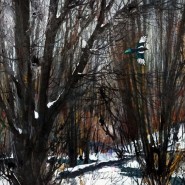 Фото: solncevo.vzmoscow.ru