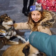 Фото: fund4dogs.ru