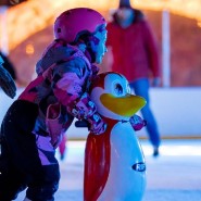 Фото: zima.mos.ru