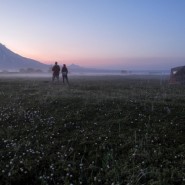 Выставка «Камчатка. Рассказ в лисах» фотографии
