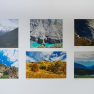 Выставка «Добрые чувства» фотографии