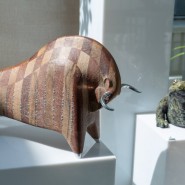 Фото: darwinmuseum.ru