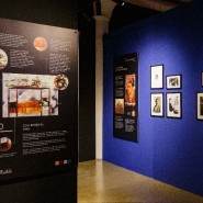 Фотовыставка и иммерсивное шоу «Фрида Кало. Несломленная» фотографии