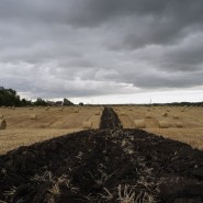 Выставка «ФОТО здесь» фотографии