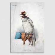 Фото: mgomz.ru