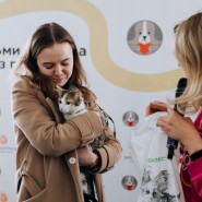 Выставка-пристройство «Возьми котика из приюта» 2023 фотографии