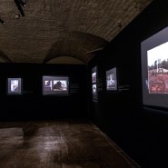 Выставка «Lost America» фотографии
