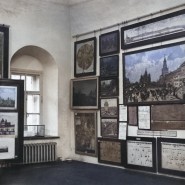 Выставка «Уберите чучело лося. К 100-летию краеведения» фотографии
