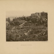 Выставка «Толстой – военный корреспондент. Крымская война 1853-1856 гг. в произведениях Л.Н. Толстого» фотографии