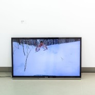 Выставка «Уход в лес» фотографии