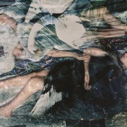 Выставка «Ваш тотем хочет домой» фотографии
