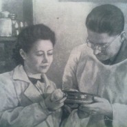 Выставка «Мадам Пенициллин» фотографии