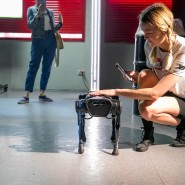 Фестиваль Geek Picnic 2022 фотографии