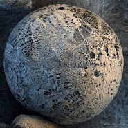 Выставка «Наука — это красиво» фотографии