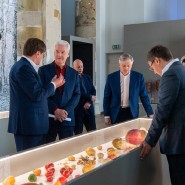 Выставка «12 Признаков живого» фотографии