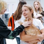 Фестиваль «Котики, которые любят» 2024 фотографии