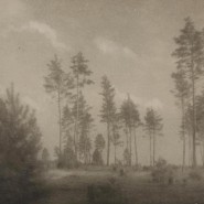 Выставка «Фотограф Николай Андреев. Мастер пикториализма» фотографии